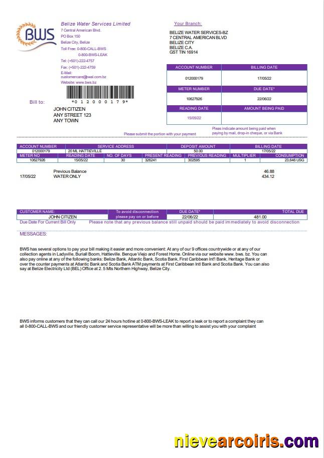 Belize Water Services utility bill
